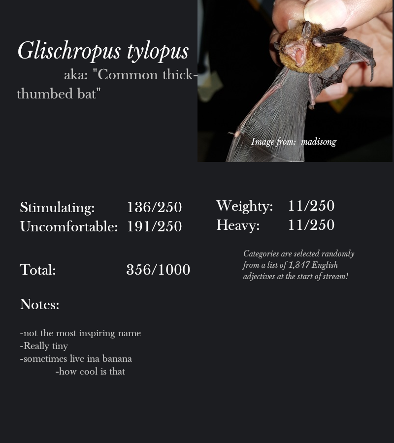 Glischropus tylopus